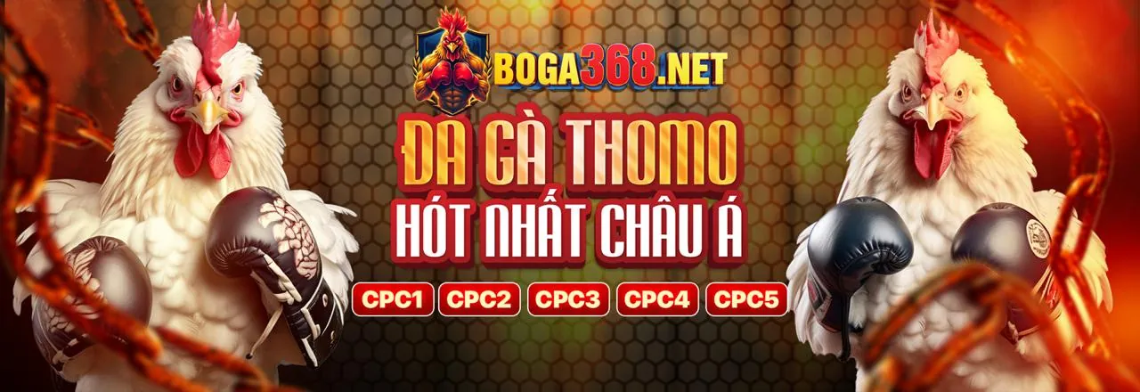 Trận đấu đá gà trực tuyến